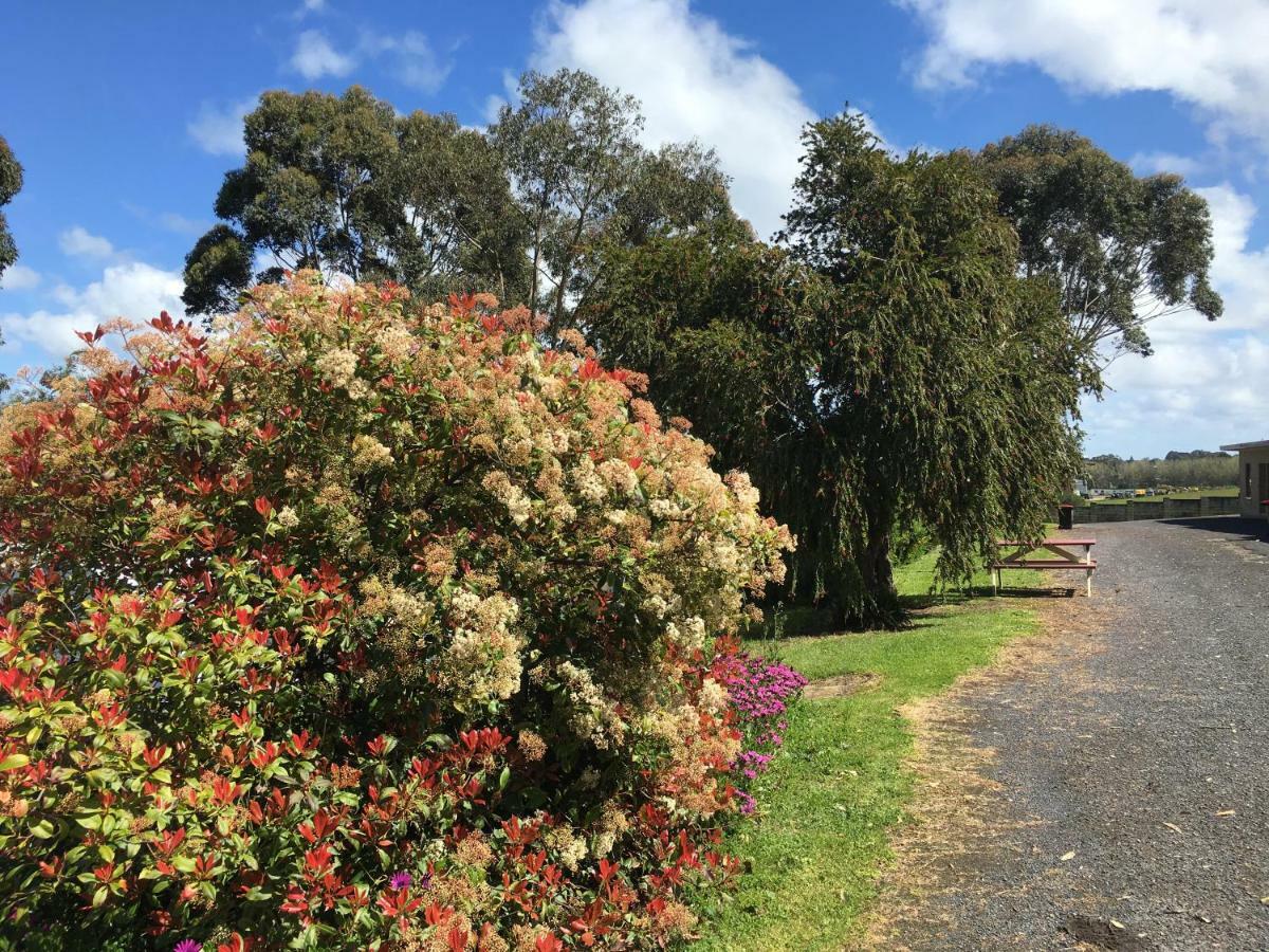 Limestone Coast Tourist Park Mount Gambier Esterno foto